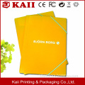 Custom plastic file folder with fastener, presentation folder,paper file folder manufacturer in China for years